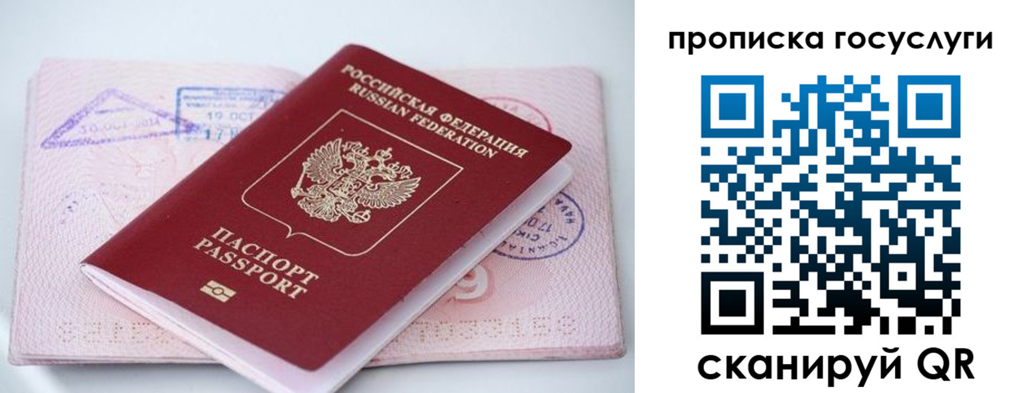 прописка законно в Ершове